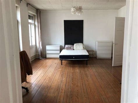 colocation strasbourg étudiant|69 annonces de colocation à Strasbourg (67000)